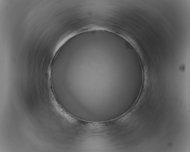 X0000115451198200911181540