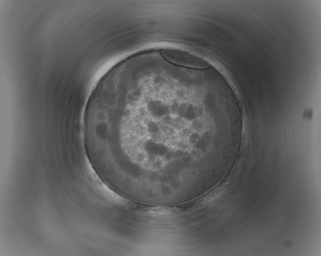 X0000115451199200911181539