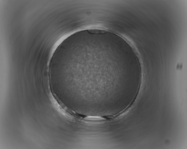 X0000115451200200911181539