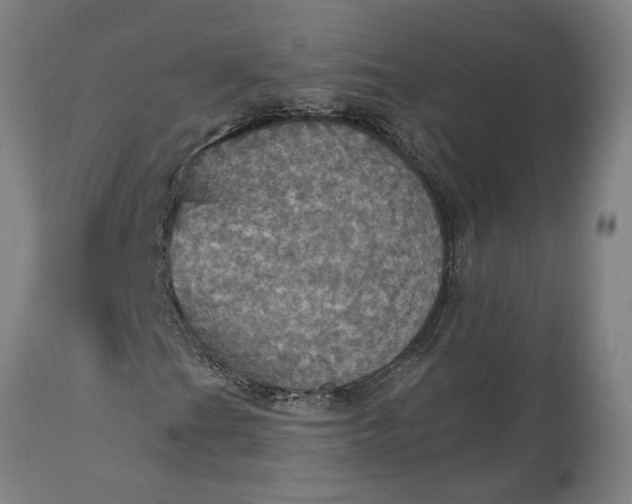 X0000115451201200911181539