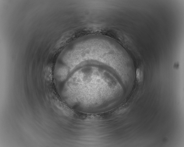 X0000115451203200911181539