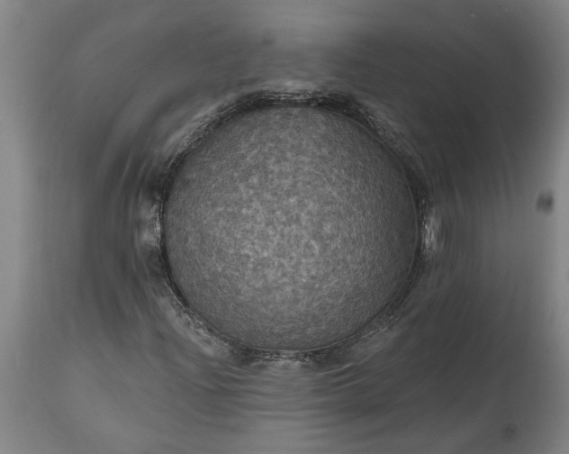 X0000115451204200911181539