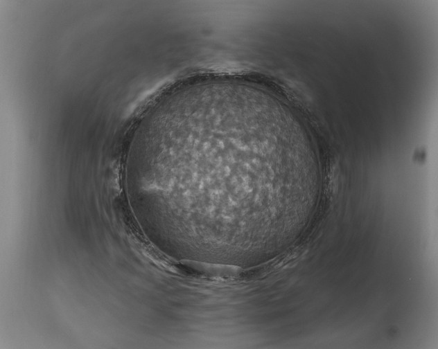 X0000115451205200911181539