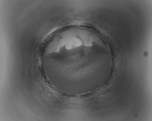 X0000115451206200911181539