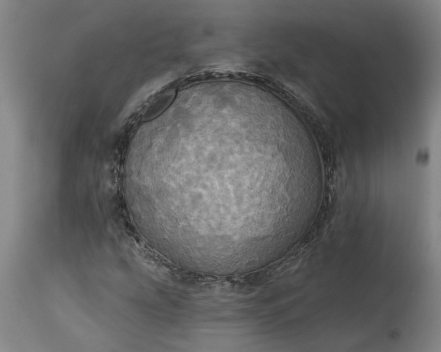 X0000115451207200911181539