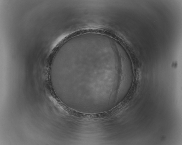 X0000115451208200911181539