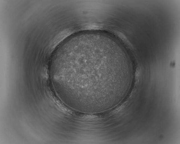 X0000115451209200911181539