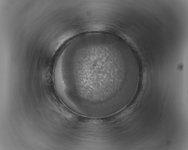 X0000115451210200911181539