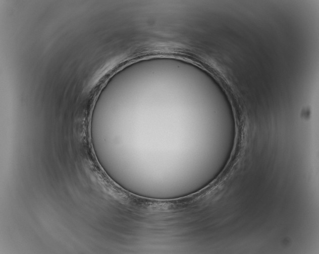 X0000115451211200911181539