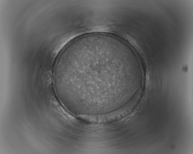 X0000115451212200911181539