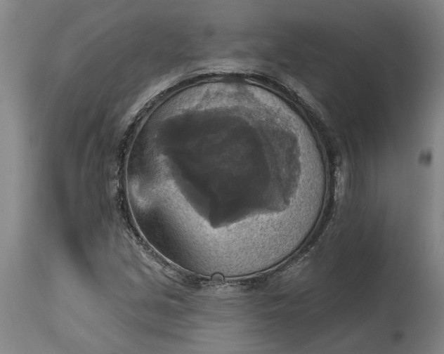 X0000115451213200911181539