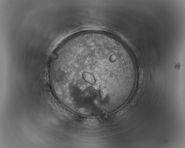 X0000115451215200911181539