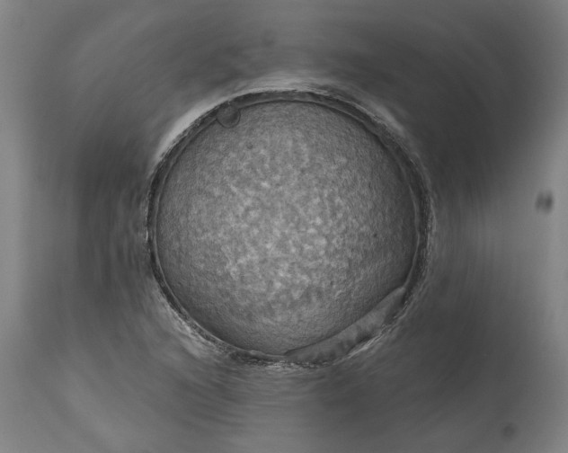 X0000115451216200911181539