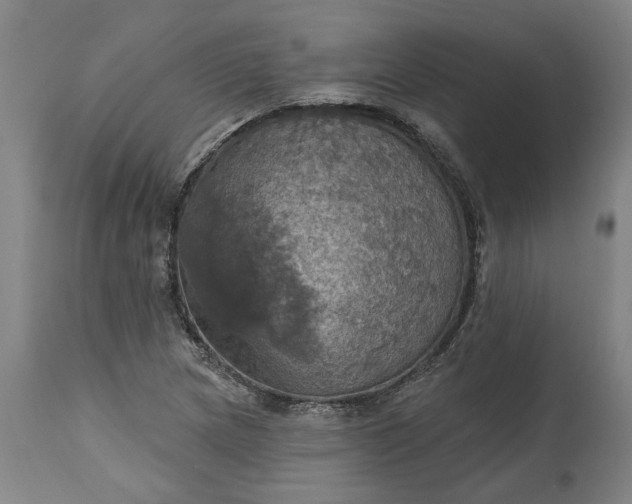 X0000115451217200911181539