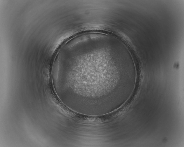 X0000115451218200911181539