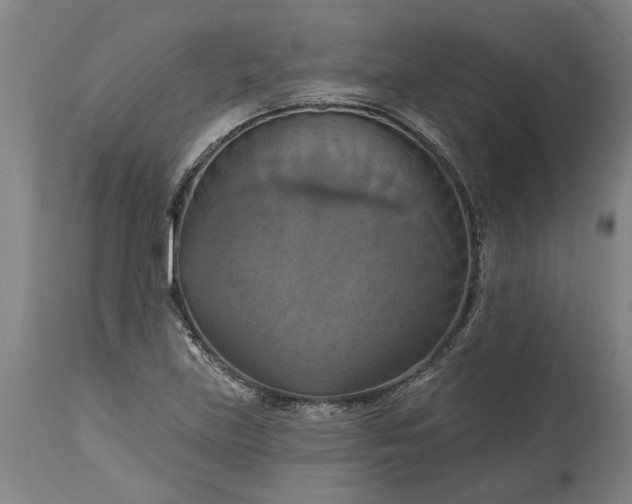 X0000115451219200911181539