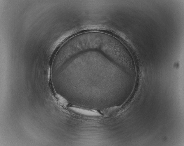 X0000115451221200911181539