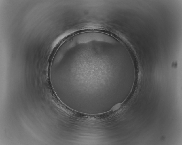 X0000115451222200911181539