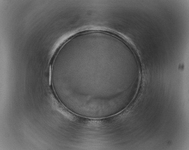 X0000115451223200911181539