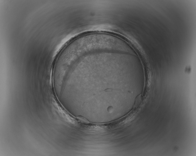 X0000115451224200911181539