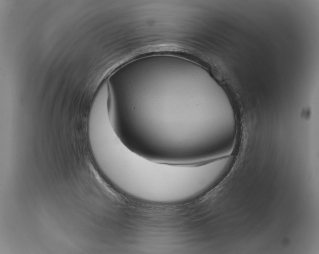 X0000115451225200911181539