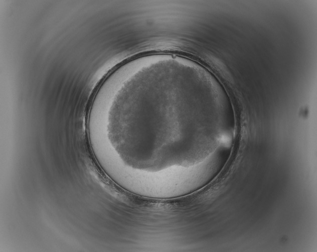 X0000115451226200911181539