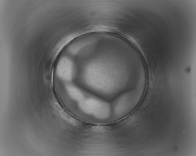 X0000115451227200911181539