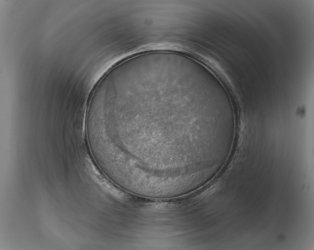 X0000115451228200911181539