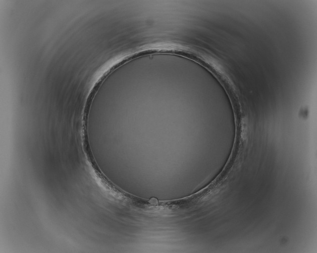 X0000115451229200911181539