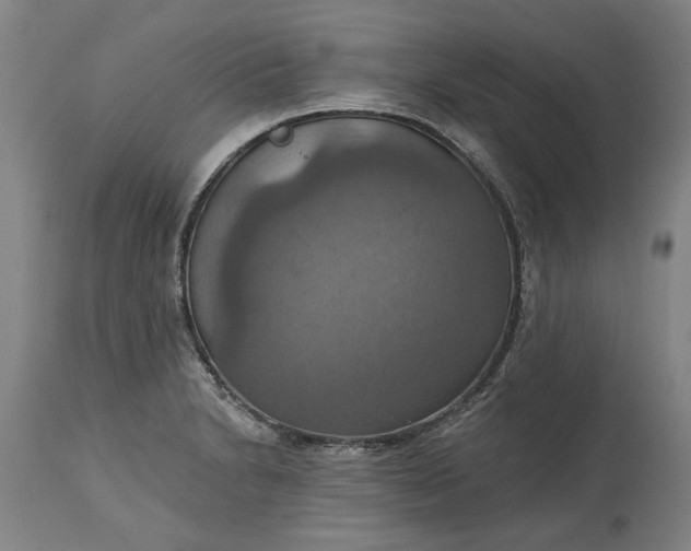 X0000115451230200911181539