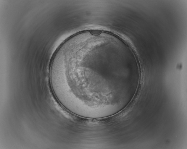 X0000115451231200911181539