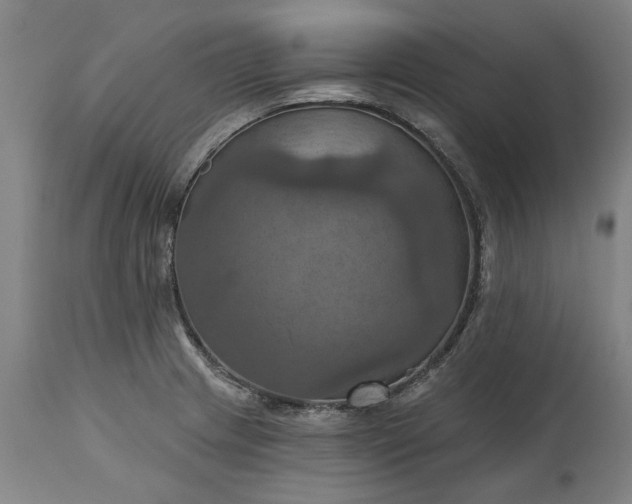 X0000115451233200911181539