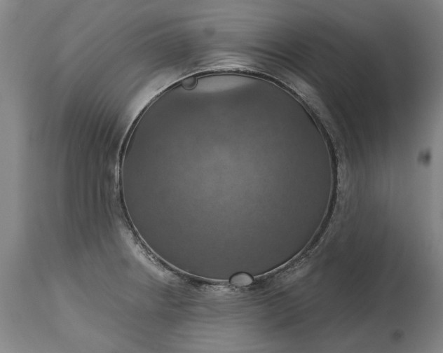 X0000115451234200911181539