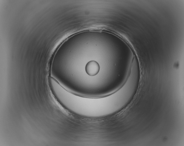 X0000115451235200911181539