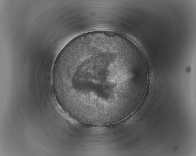 X0000115451236200911181539