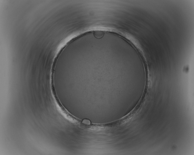 X0000115451237200911181539