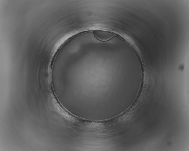 X0000115451238200911181539