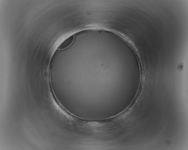 X0000115451239200911181539