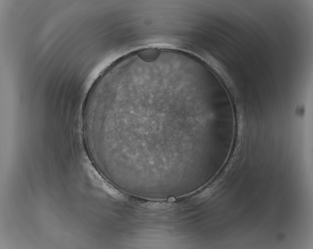 X0000115451240200911181539