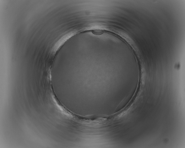 X0000115451241200911181539