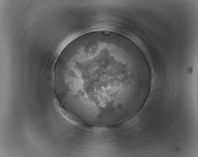 X0000115451242200911181539