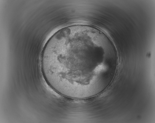 X0000115451243200911181539