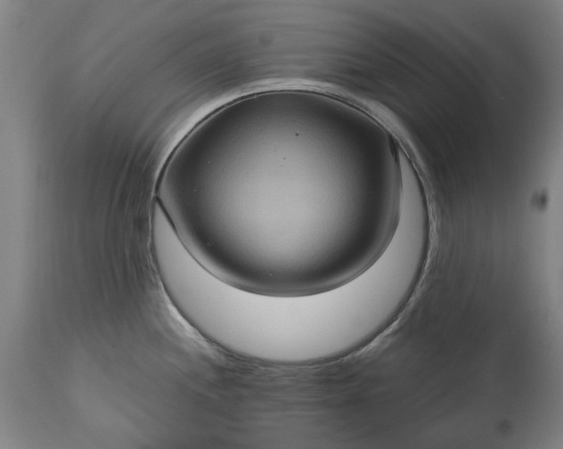 X0000115451244200911181539