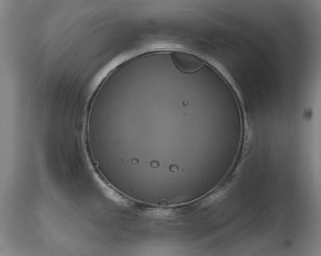 X0000115451245200911181539