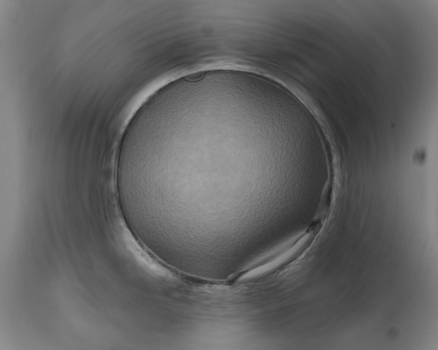 X0000115451246200911181539