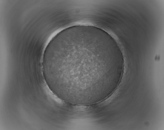 X0000115451248200911181539