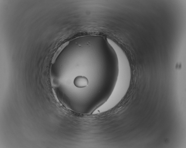 X0000115451249200911181539