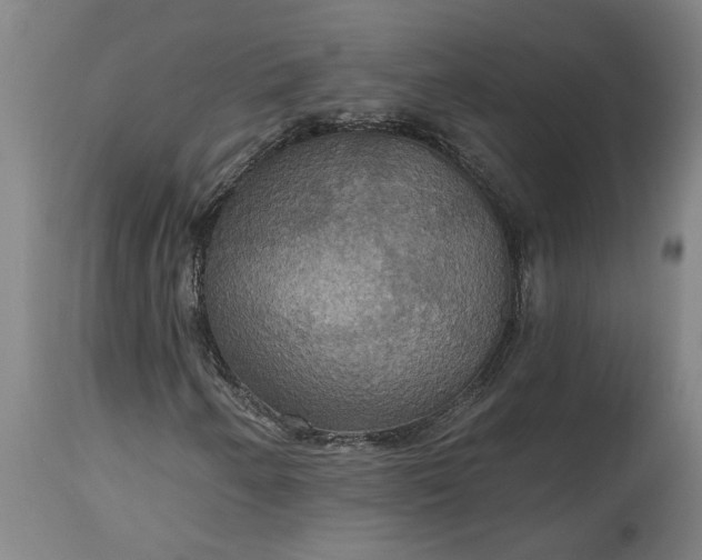 X0000115451250200911181539