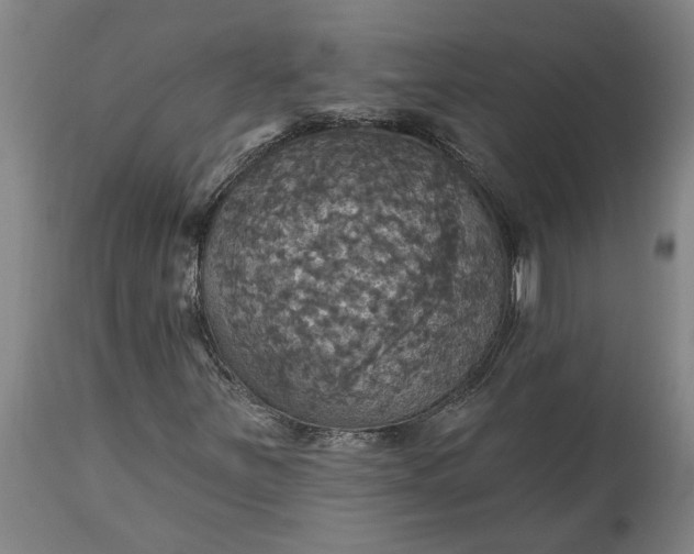 X0000115451251200911181539