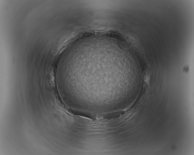 X0000115451252200911181539